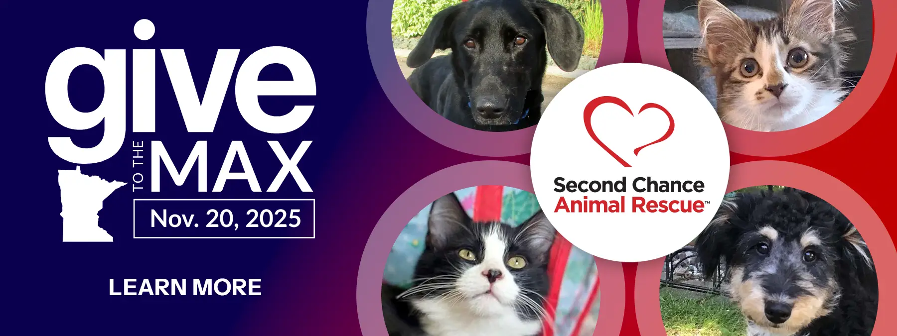 Second Chance Animal Rescue - Give to the Max